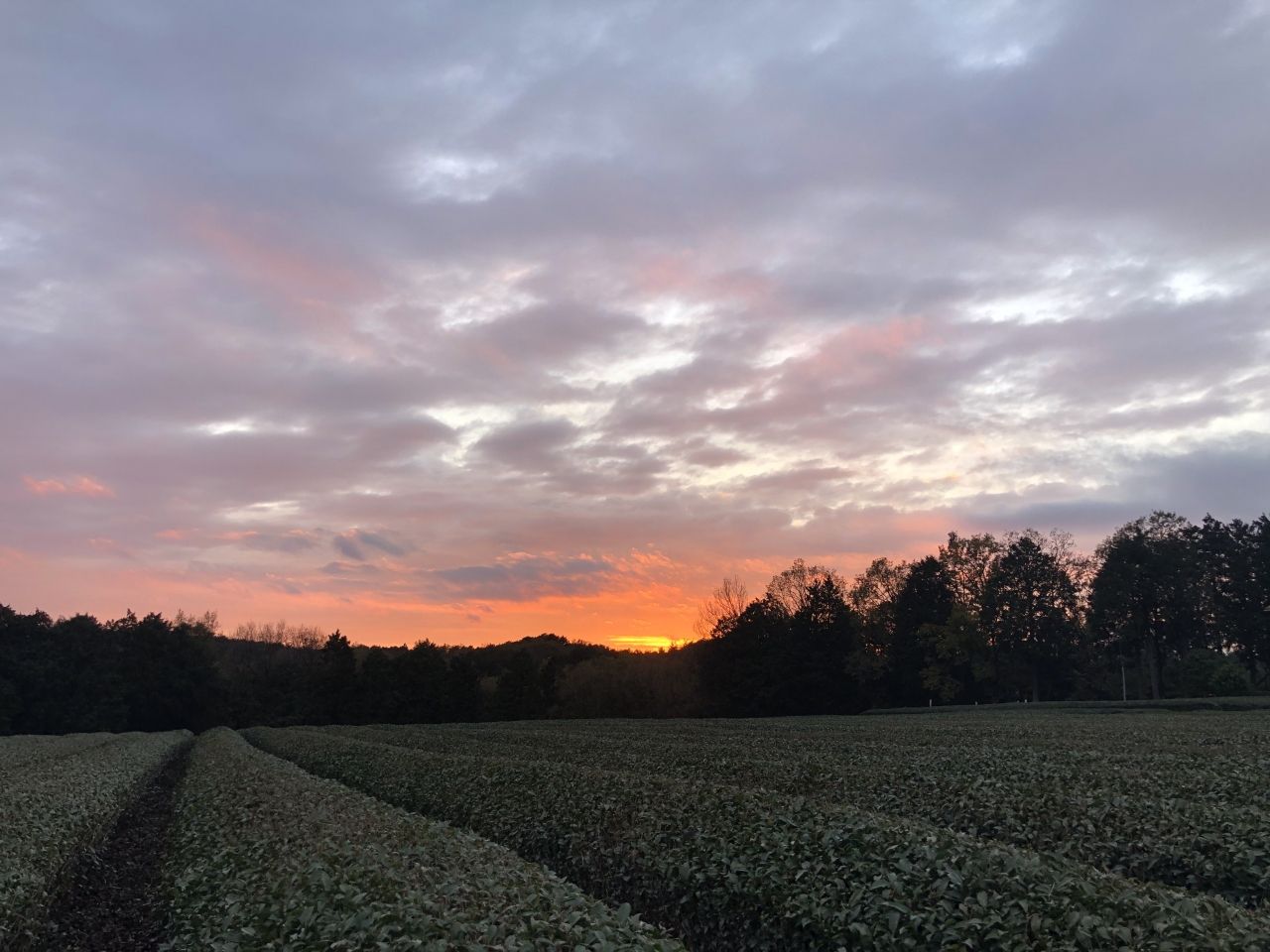 冬の夕空