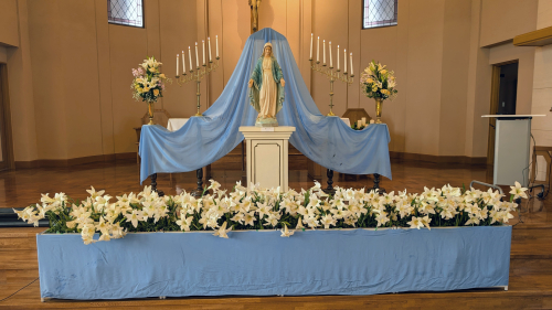 PXL_20251211_002111826~2