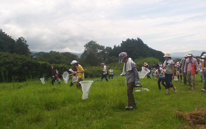 不二聖心夏休み子供自然体験教室生き物