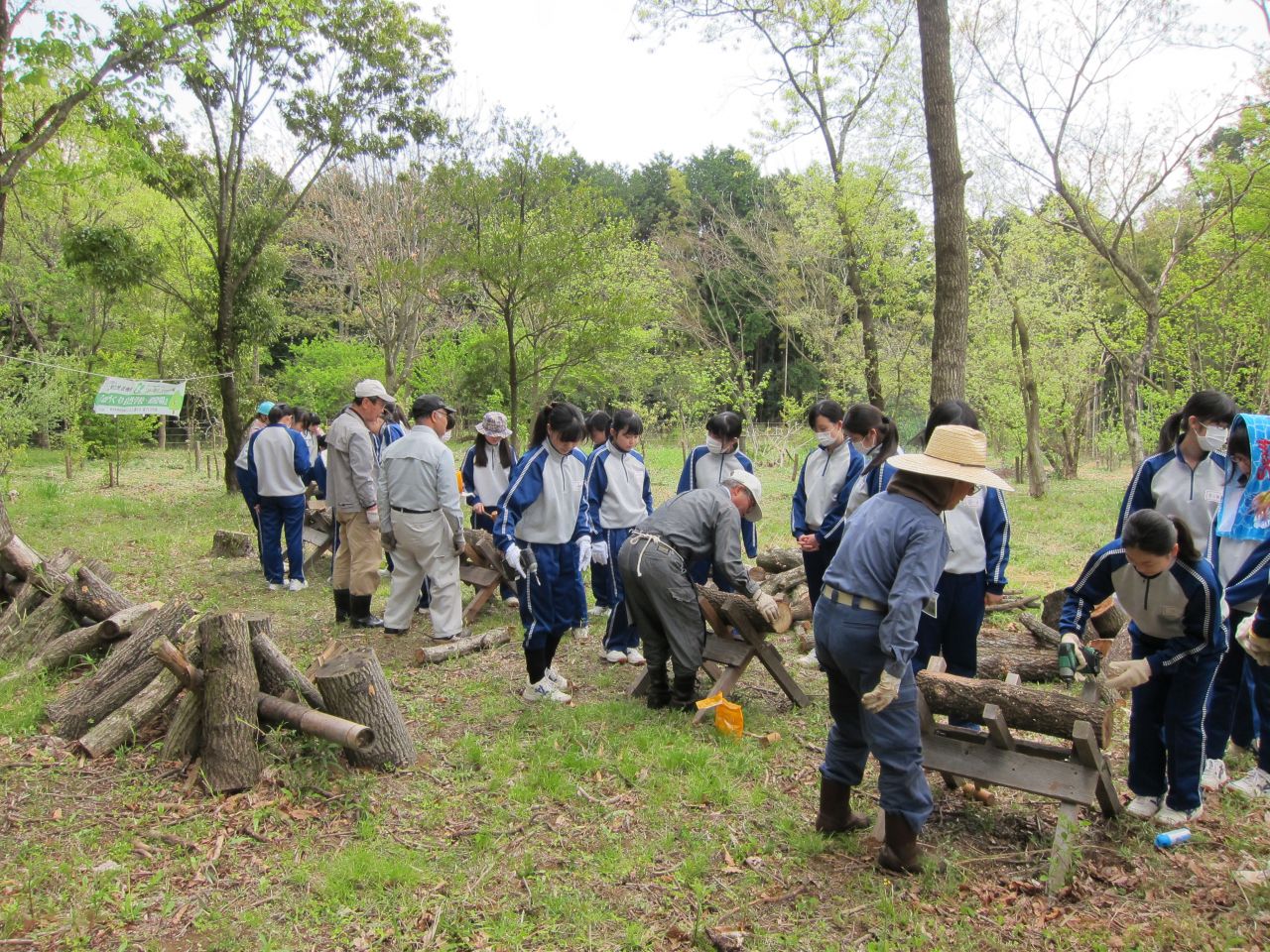 高1総合学習しいたけの植菌