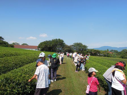 夏休み子供自然体験教室（第２壊の様子）