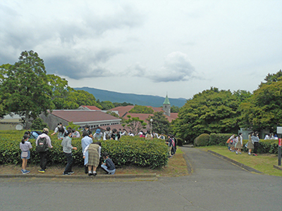 お茶摘み