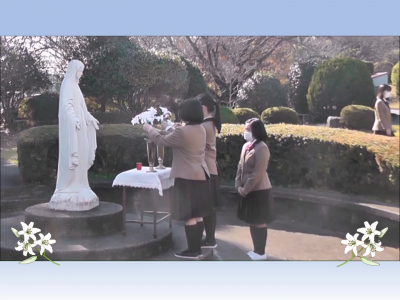 百合の行列2021(全体)_Moment4