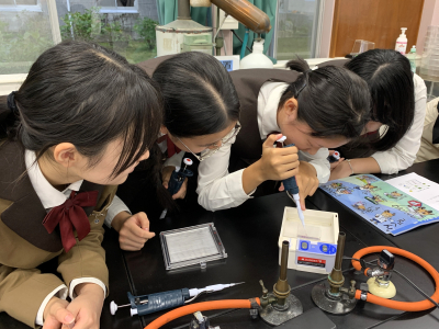 Image_20251021_090746_733 2